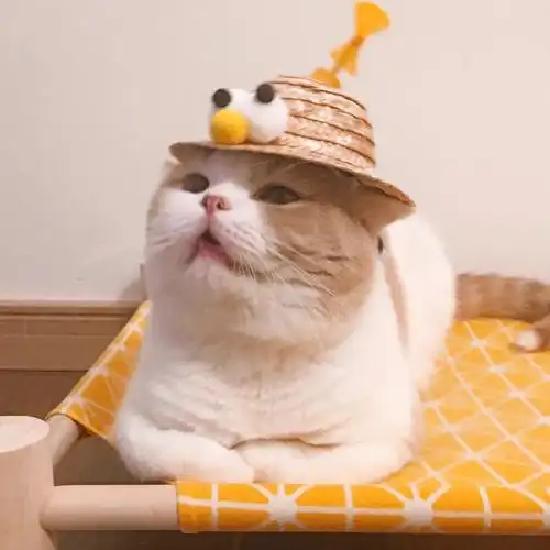 客服主管王小华